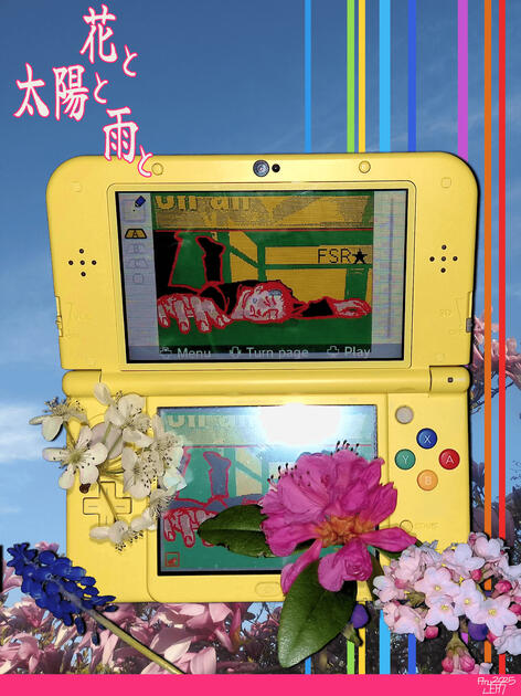 that DS feeling (Fan work: Flower, Sun and Rain; Mixed media (photography, flowers, pixel art on 3DS, digital additions)), 2025)